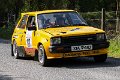 Monaghan Stages Rally 2014 SS7 (83 of 88)